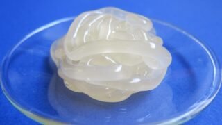 美肌に欠かせないコラーゲンは、一年中降り注ぐ紫外線をもろに浴びたり様々な刺激を何度も受けたり、人間関係などのストレスが溜まったりすることで、損傷を受け、更には作ることが困難になっていくのです。