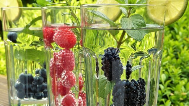 「デトックス」法に問題やリスクは無いのだろうか。第一、体の中に蓄積される毒とは一体どんな性質のもので、その毒とやらは果たして「デトックス」によって体外へ排出されるのだろうか？