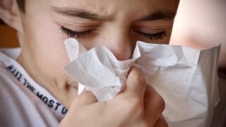アトピーの要因：家族の病歴・次の既往歴（気管支喘息、アレルギー性鼻炎・結膜炎、アトピー性皮ふ炎（あとぴーせいひふえん、atopic dermatitis）の内一種、又は２種類以上）、IgE 抗体を産生しやすいと予測させる原因、等。